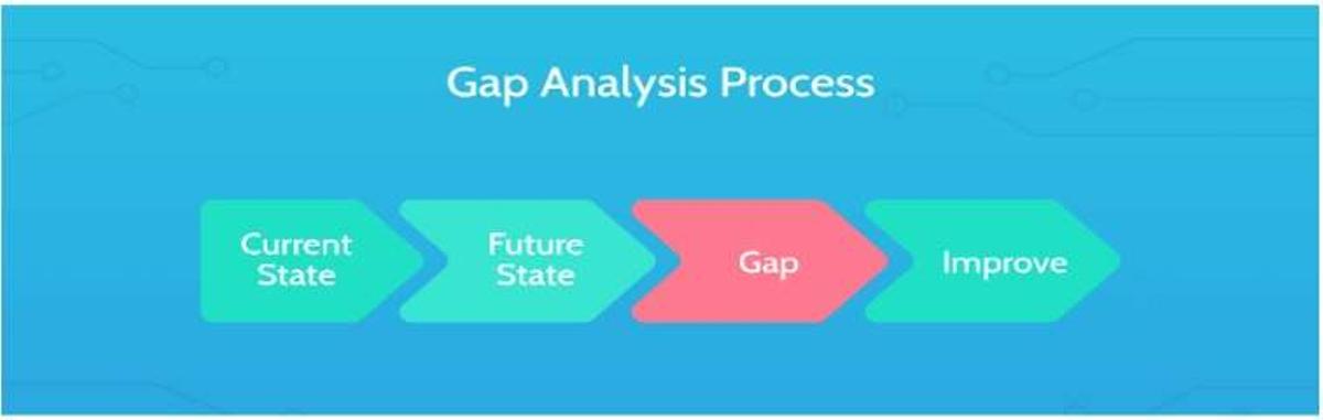 Gap Assessment